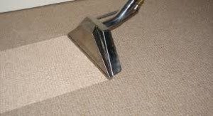 The Benefits of Professional Carpet Steam Cleaning - My Floor Restore