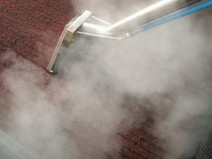 How to Handle Steam Cleaning On Your Own - Floor Restore & More