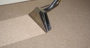 The Not-So Obvious Benefits of Professional Carpet Steam Cleaning