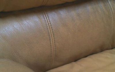 Situations When Professional Upholstery Cleaning Is Advisable