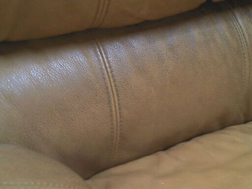Situations When Professional Upholstery Cleaning Is Advisable
