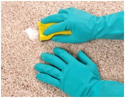 How to Make the Best Carpet Cleaning Solution to Maintain Your Carpets Yourself