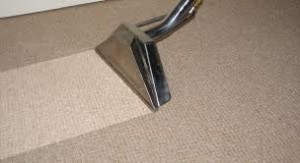 Carpet Steaming | Floor Restore & More | Winter Haven, FL | Restoration Blog