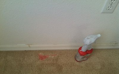 DIY: Paint Spill on Carpet