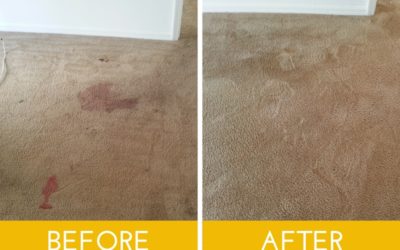 The Carpet Cleaning You’ve Been Searching For