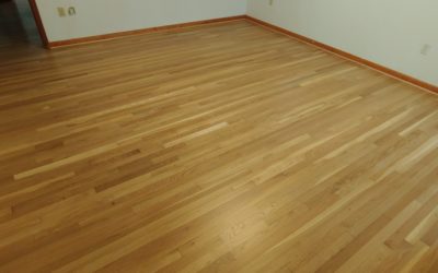 Floor Restore & More Services Spotlight: Quick Floor Removal