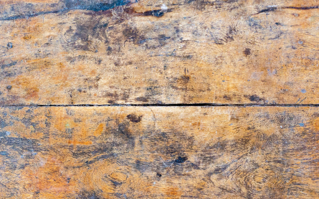 Services Spotlight: Hardwood Floor Restoration